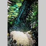 The Fishing Hole - Sage Vacations