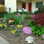 Gatlinburg Chateau Condo 401
