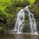 Moonshine Chalet, Hot Tub, Pool Access, Wifi, 1089 Free Tickets Each Paid Day, Dollywood And More