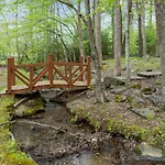 Parkway Treasure Cabin