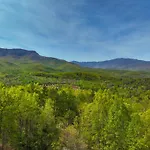 Bearded Bear Lodge
