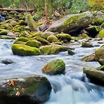 Little Smoky Retreat , 3 Bedroom , Close To Downtown Gatlinburg And Pigeon Forge