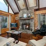 Cozy Bear 856