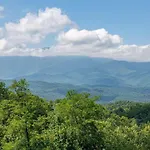 Mountain Mist