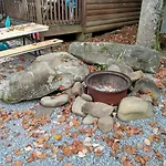1Br Cabin In The Smokies Close To Gatlinburg
