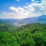 Dancing Bear Lodge, 1089 Free Attraction Tickets For Each Paid Day, Dollywood And More