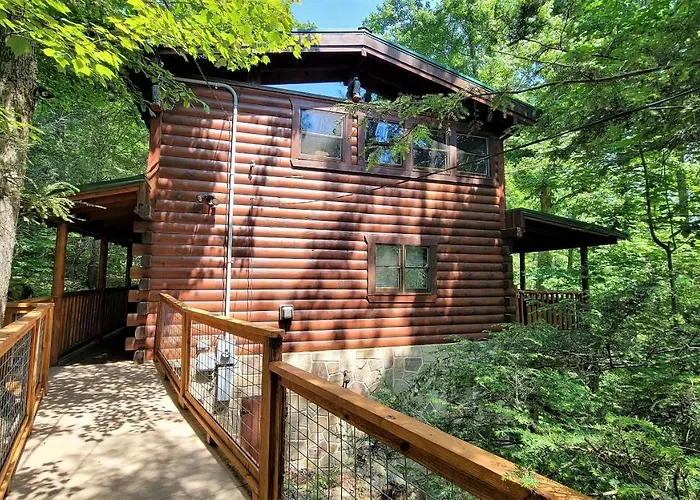 Mountain Joy -Private Treehouse Style Cabin That Sleeps 4-Free Tickets