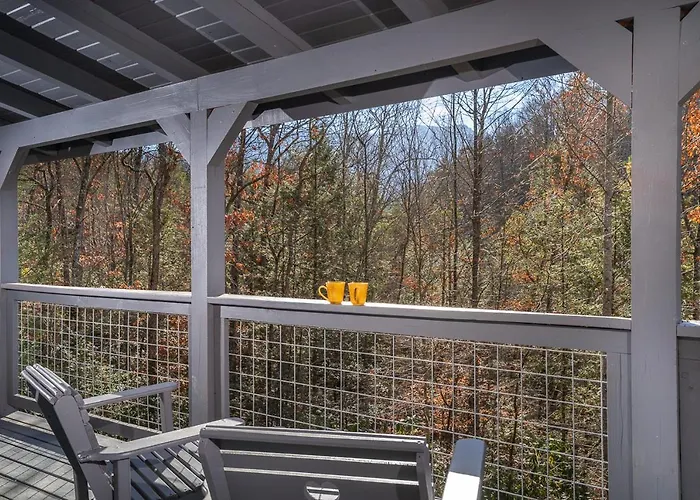 Bear Necessity By Stony Brook Cabins