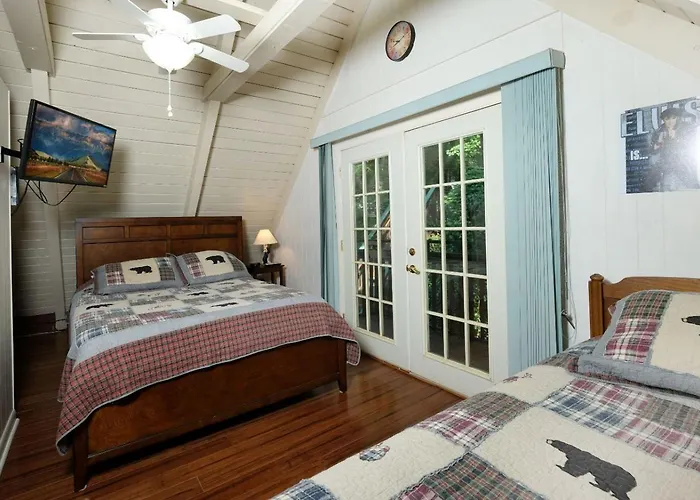 Cozy Bear 856