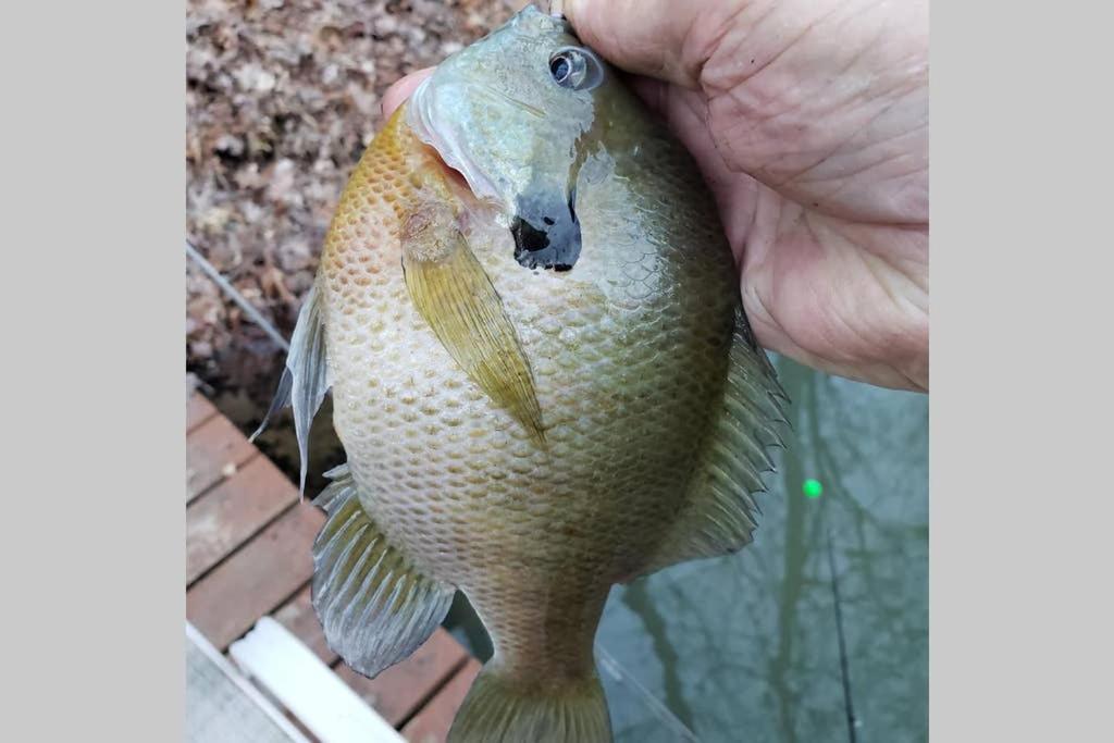 The Fishing Hole - Sage Vacations