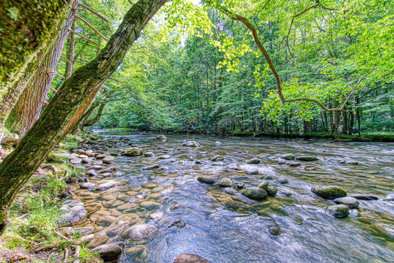 The Great Dogwood Manor Gatlinburg