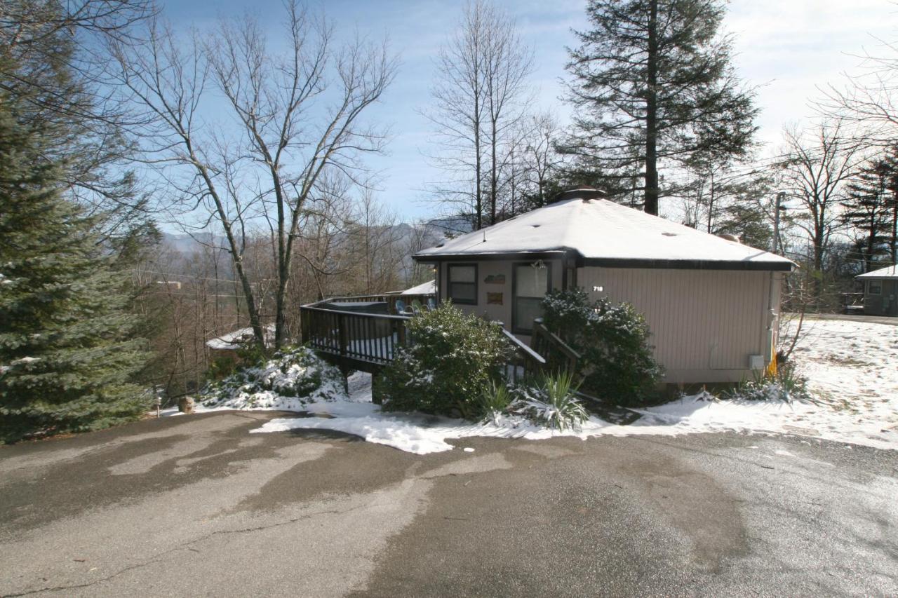 Bearadise 2, 2 Bedrooms, Pool Access, Hot Tub, Fireplace, Wifi, Sleeps 4 Gatlinburg