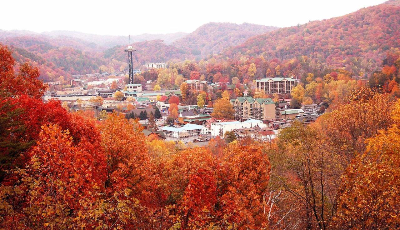 Fully Renovated 3-bedroom Home, Walk To Ober Mountain & Just Minutes From * Gatlinburg