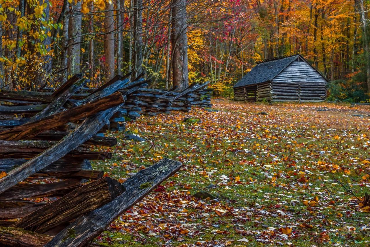 Bluebearry Patch Chalet