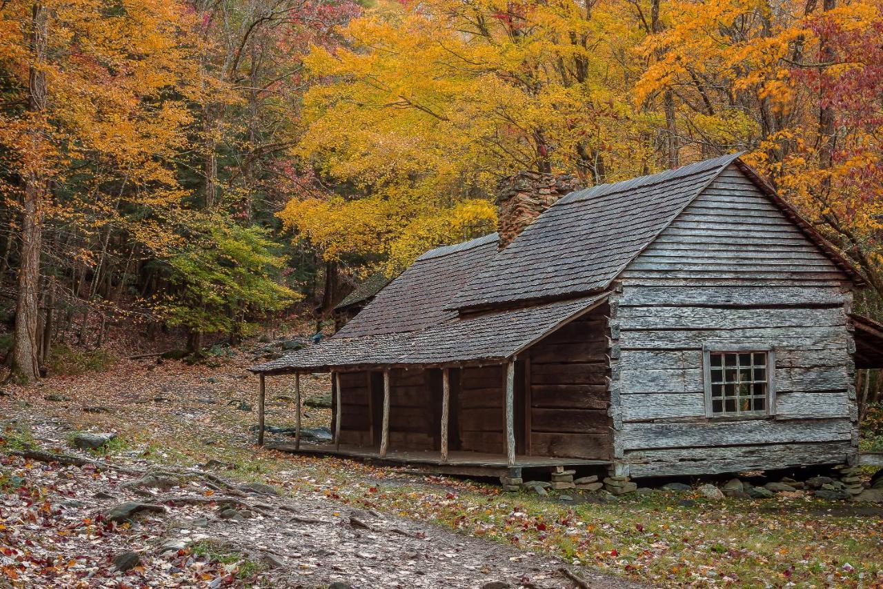 Bluebearry Patch * Gatlinburg