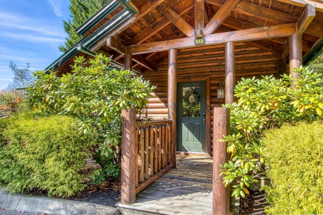 Holiday home Dog Friendly, Romantic Mtn Getaway Hot Tub Pool Gatlinburg