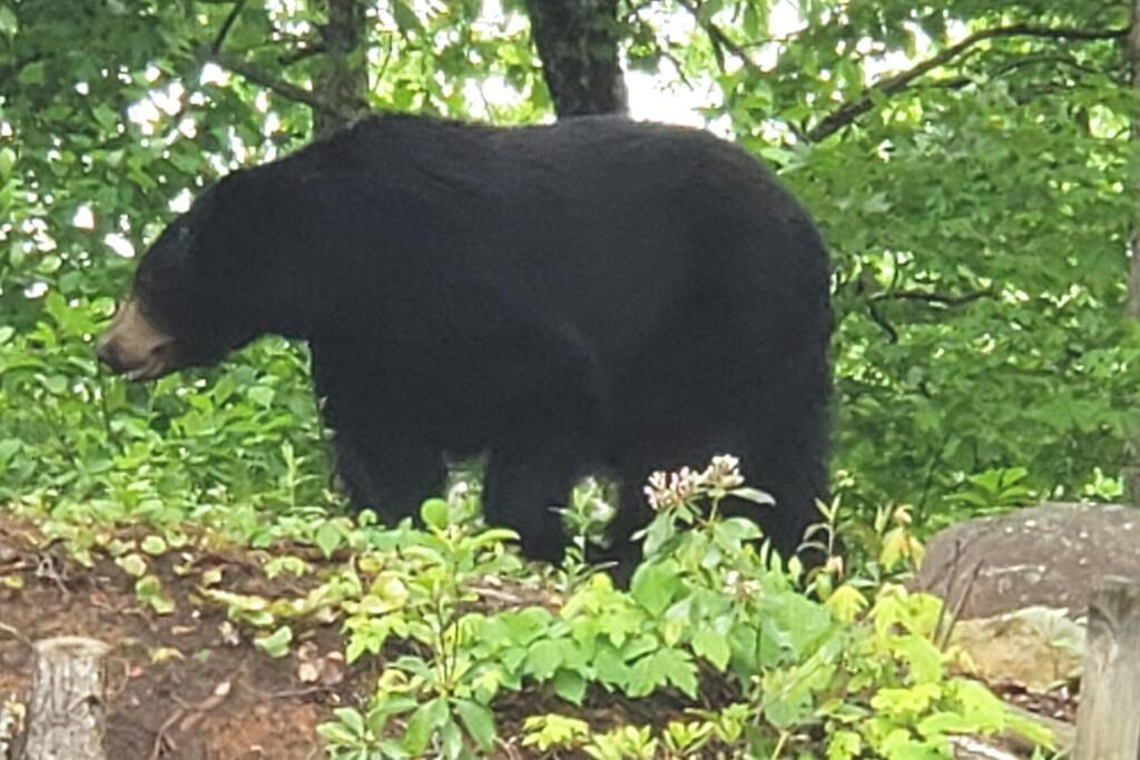 #three Sisters' Fairway * Gatlinburg