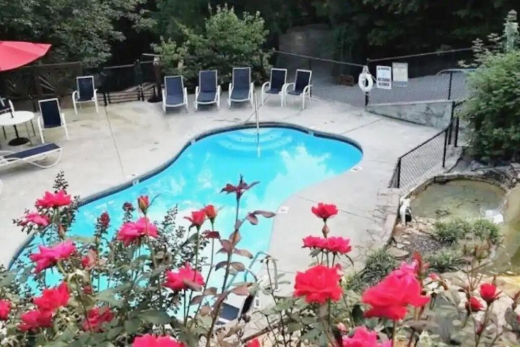 Cozy Cabin! Hot Tub, King Bed, Fireplace, & Pool