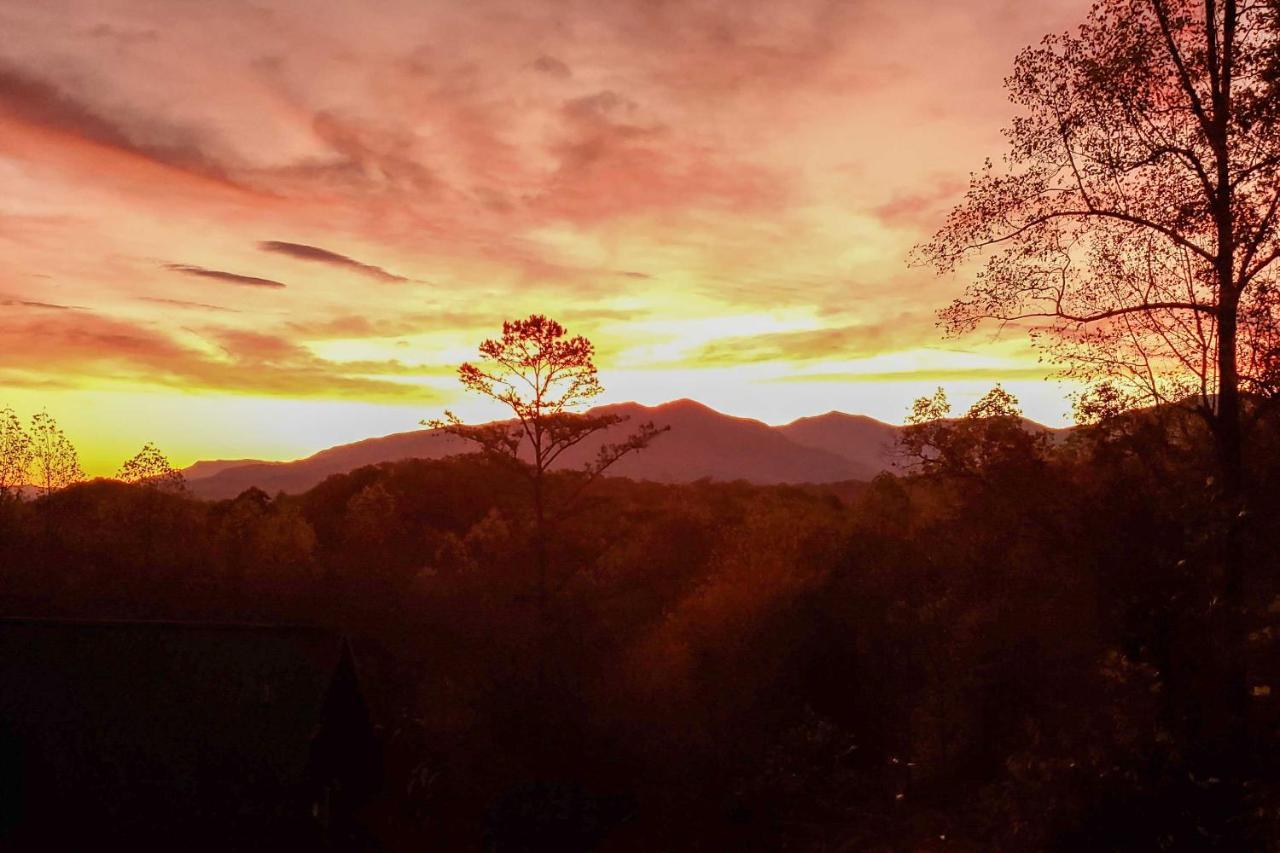 Cozy With Mountain Views Near Skylift Park! *