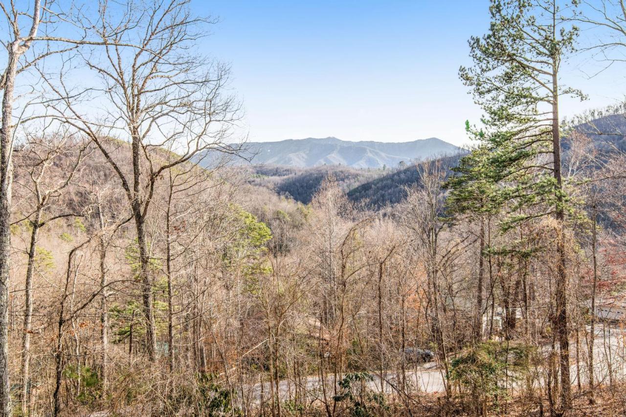 Triple Mountain View Holiday home *