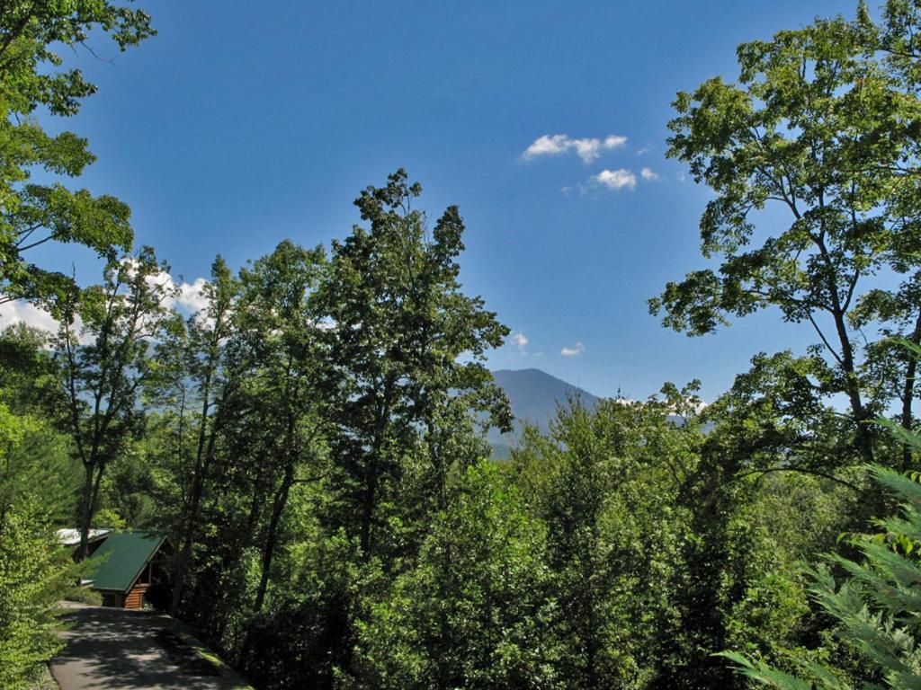 Holiday home Bear's Corner, 3 Bedrooms, Wifi, Pool Table, Hot Tub, Wifi, Sleeps 10 Gatlinburg