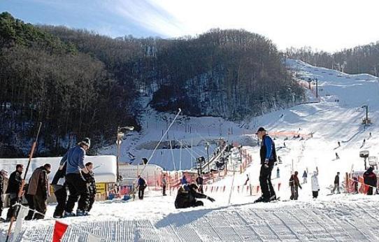Bears Den Gatlinburg