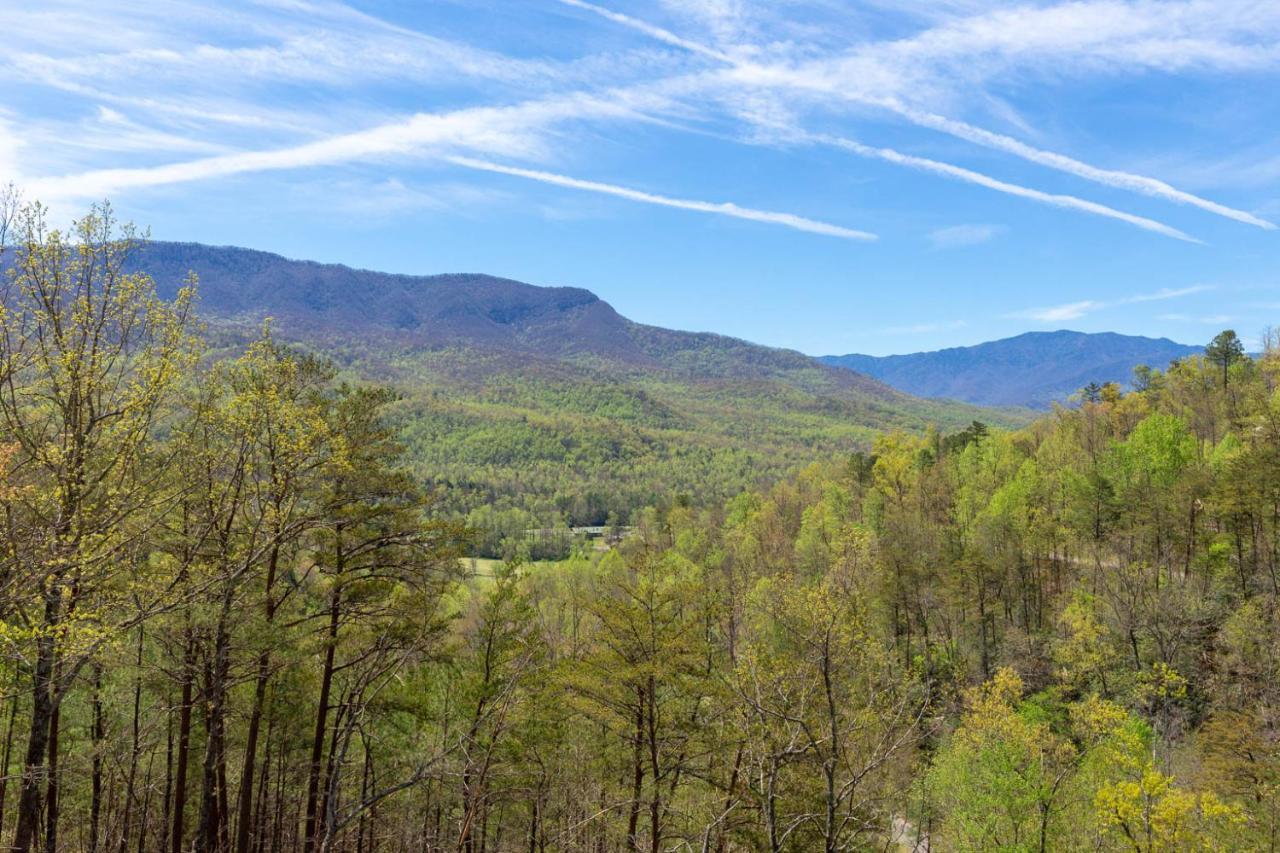Bearly Heaven * Gatlinburg