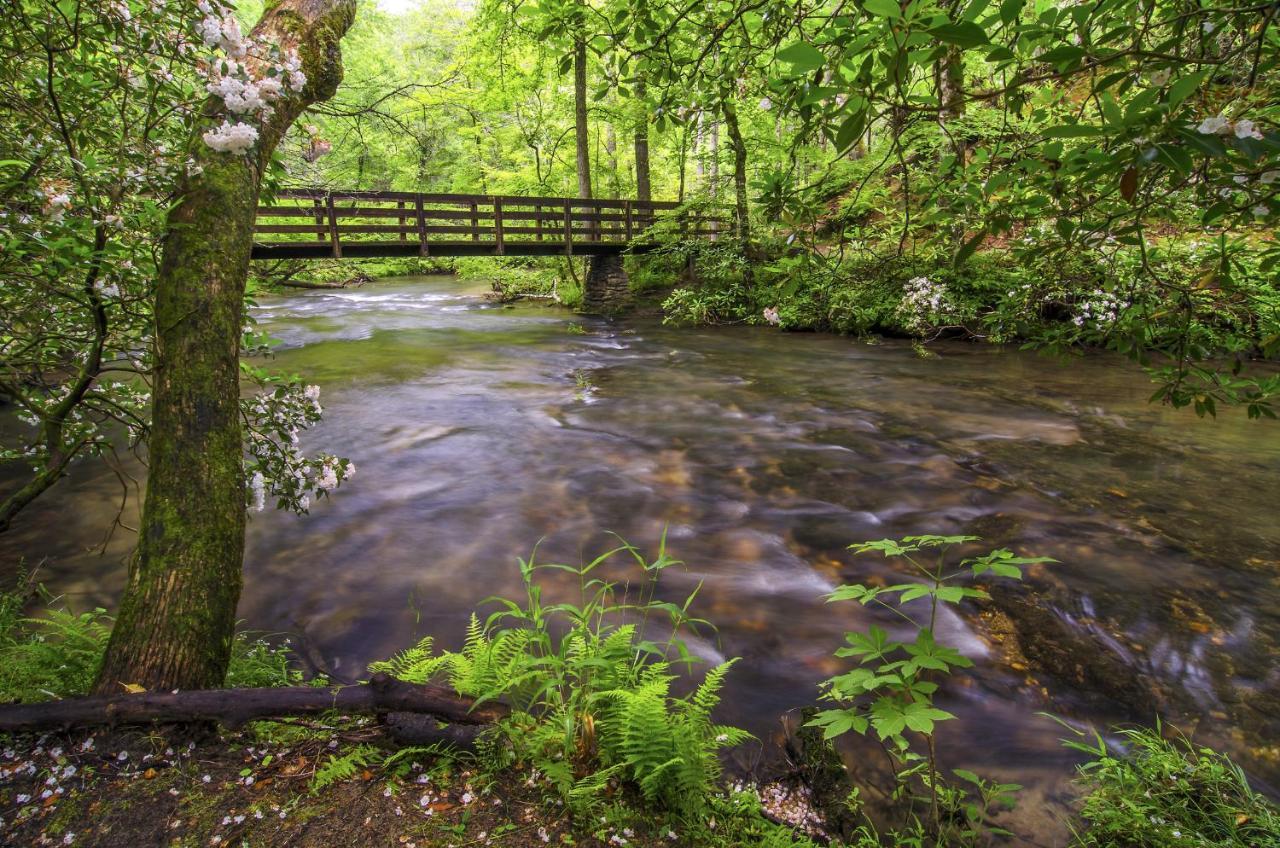 Mountain High View, 3 Bedrooms, Pool Access, Fireplace, Wifi, Sleeps 8 Gatlinburg