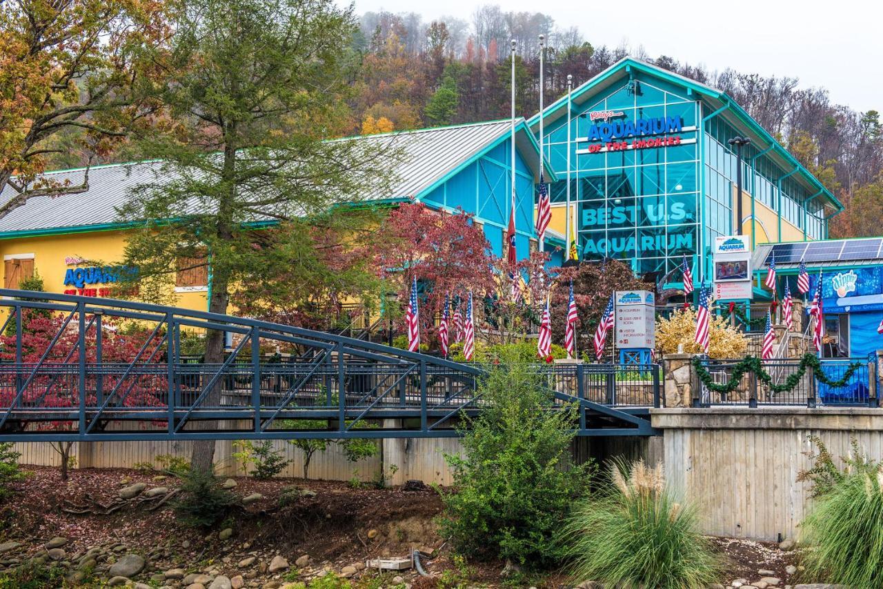 Mountain High View, 3 Bedrooms, Pool Access, Fireplace, Wifi, Sleeps 8 * Gatlinburg