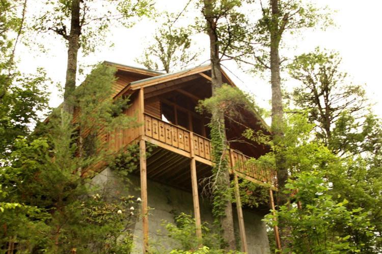 Bear Necessities * Gatlinburg