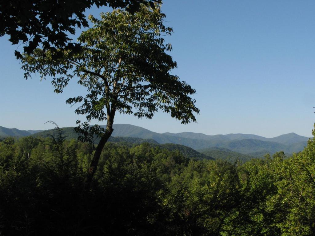 Holiday home Cubs Cove Gatlinburg