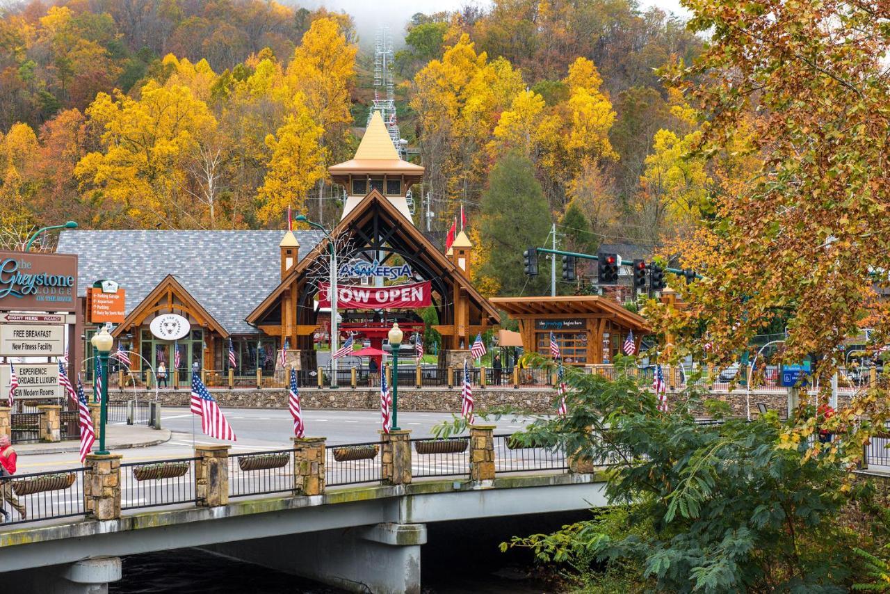 Smoky Mountain Dreams