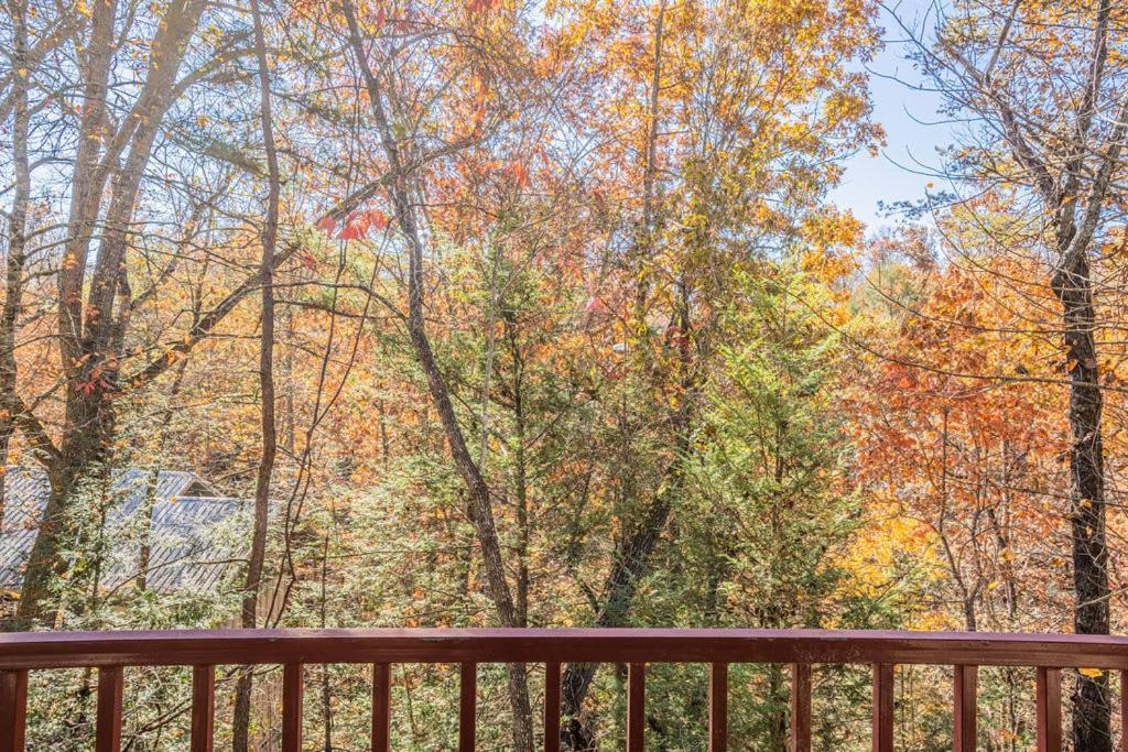 Sasquatch A Sleeps 12 * Gatlinburg
