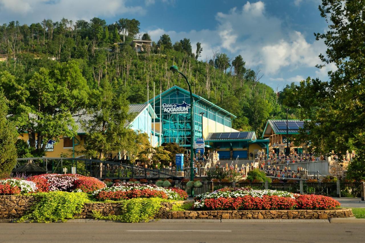 Holiday home Peak Paradise Mountain View
