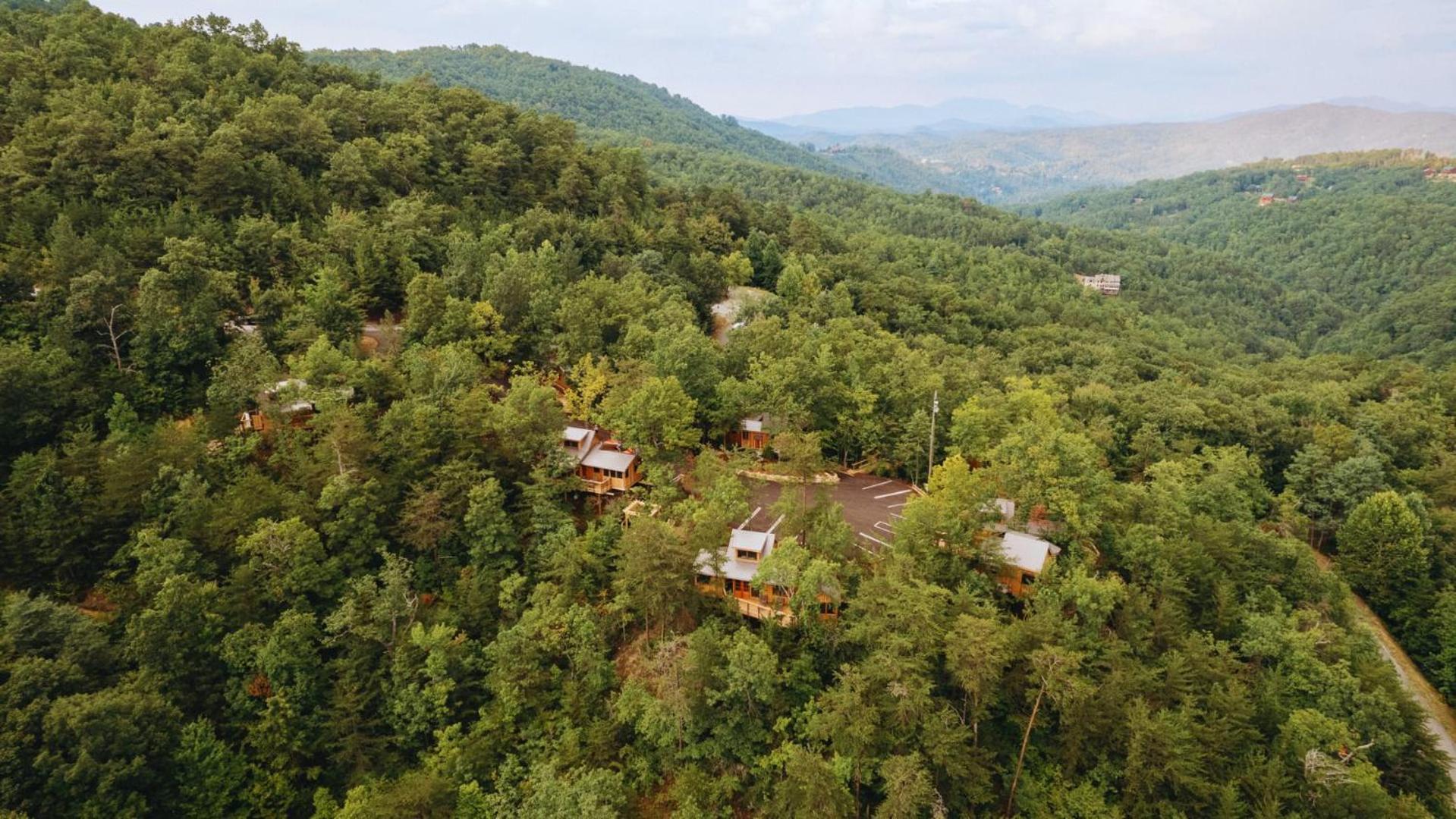 The Spruce In Treehouse Grove At Norton Creek *