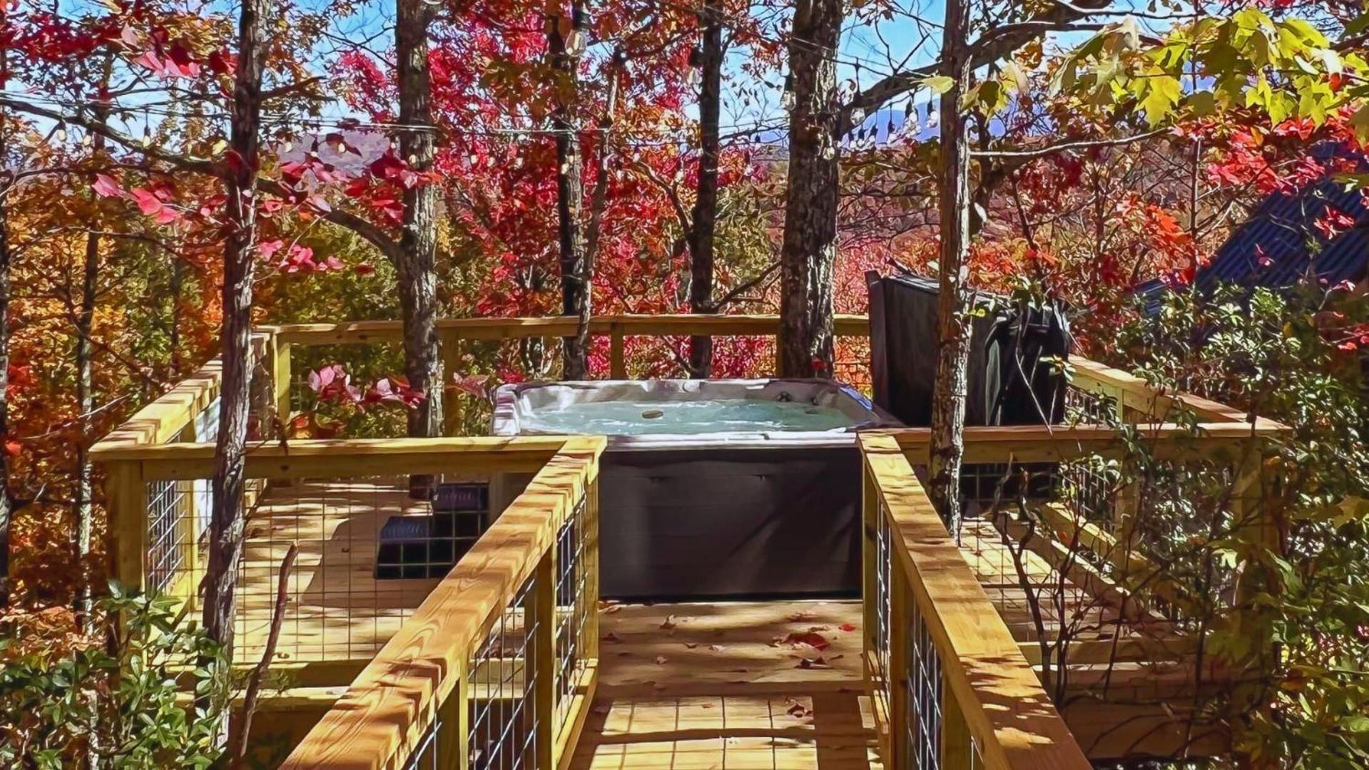 The Spruce In Treehouse Grove At Norton Creek