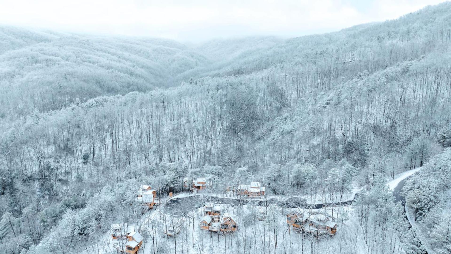 Holiday home The Spruce In Treehouse Grove At Norton Creek Gatlinburg