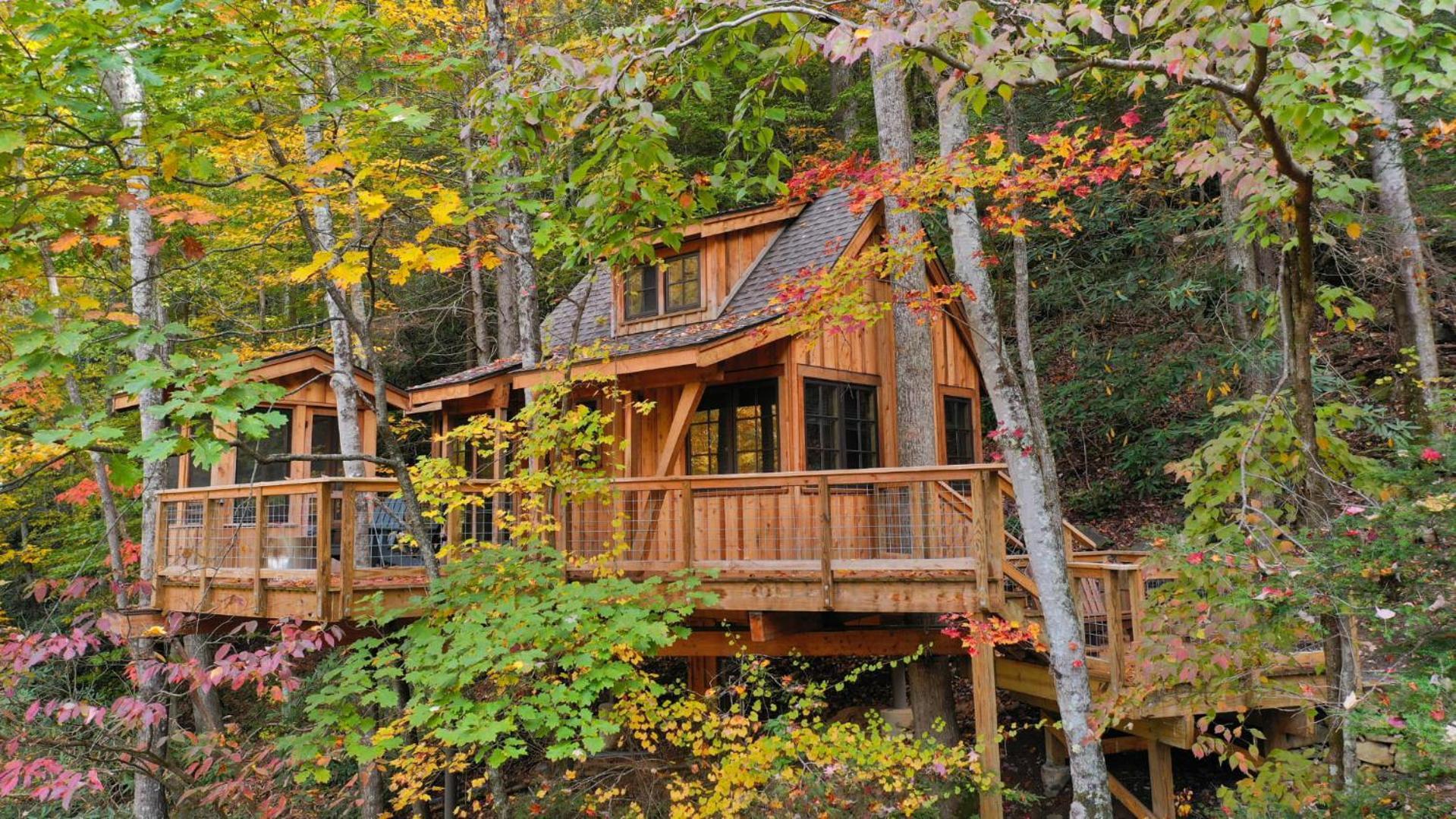 The Dogwood In Treehouse Grove At Norton Creek *
