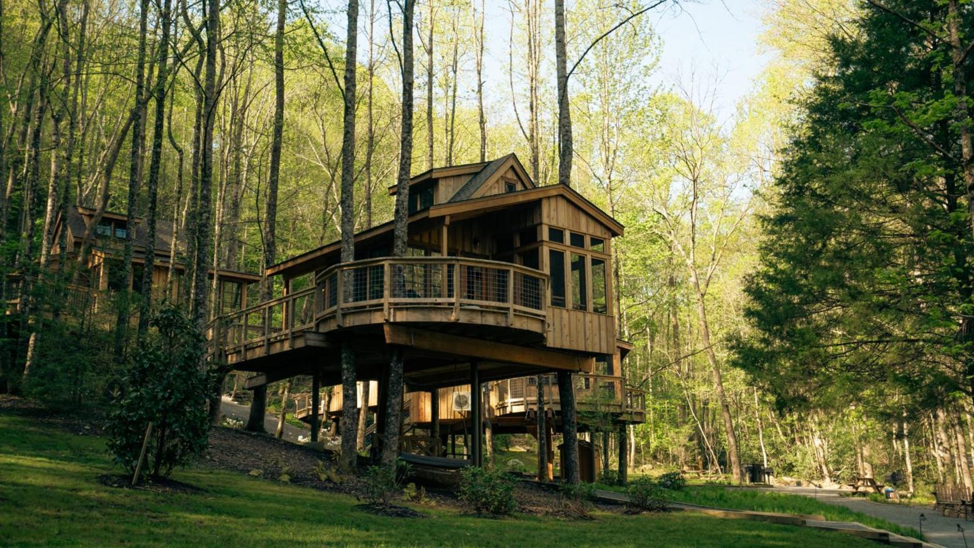 The Magnolia In Treehouse Grove At Norton Creek