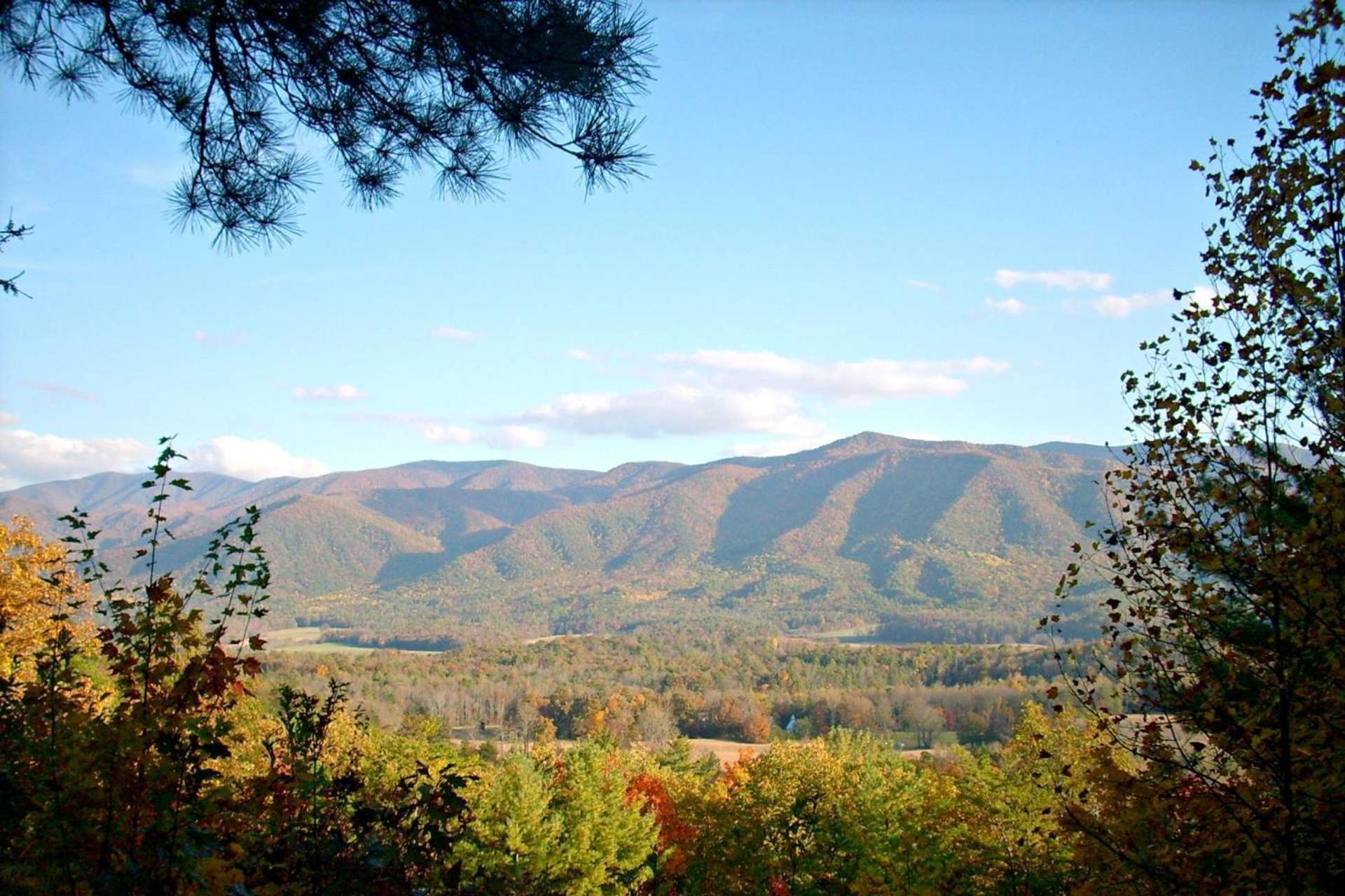 Woods Mountain Holiday home