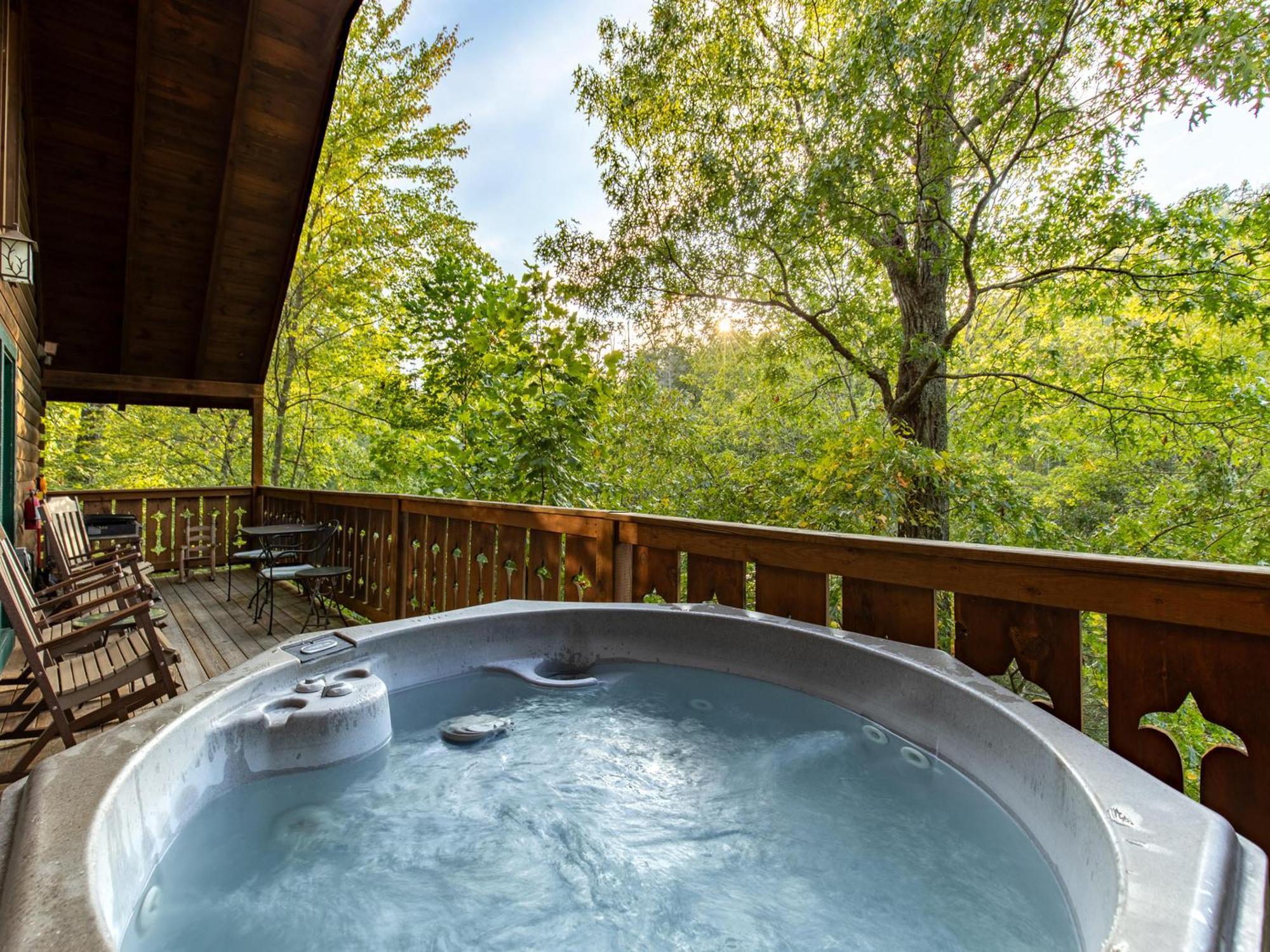 Bear Necessities * Gatlinburg