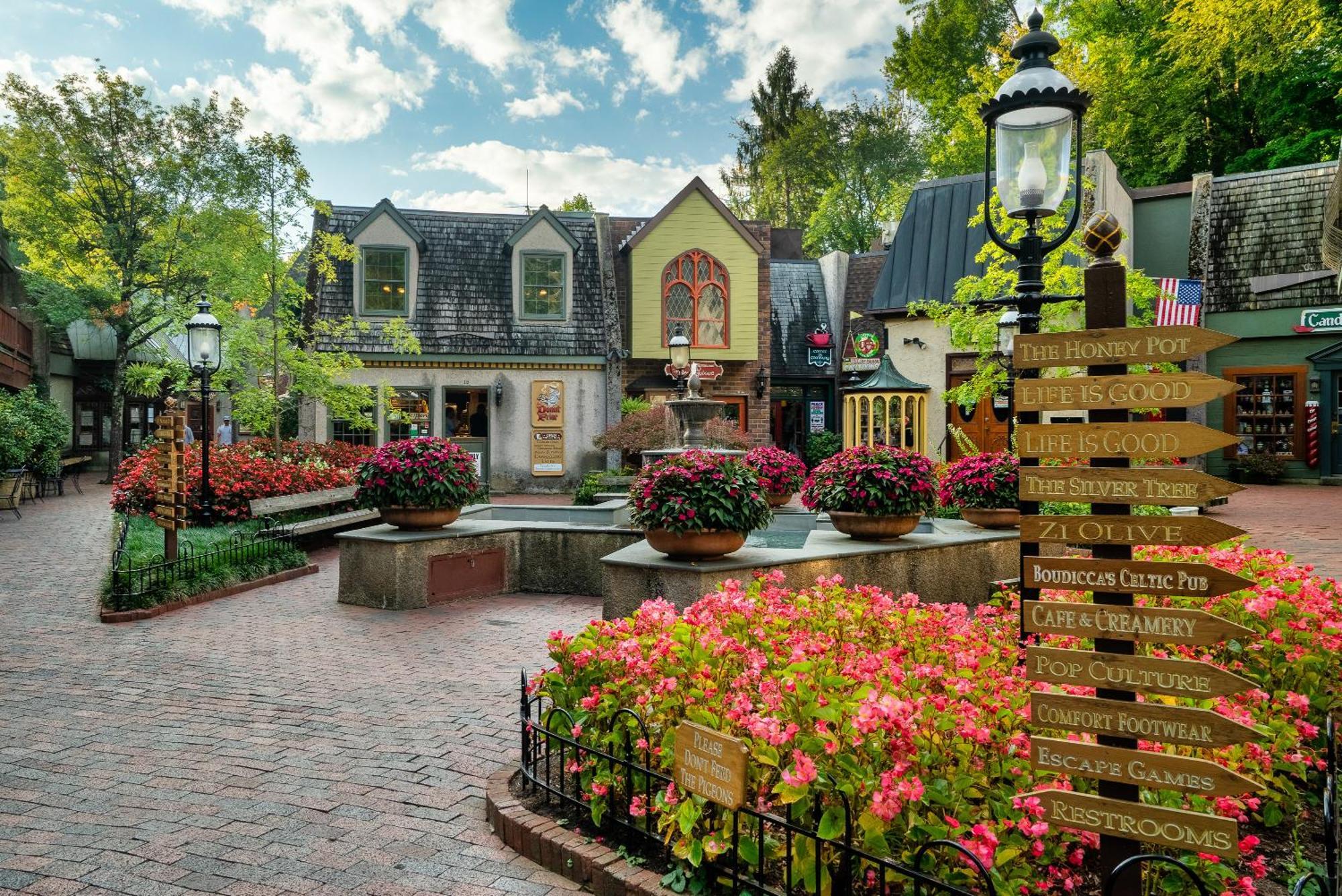 And Play At The Ryland: Private Game & Community Pool Retreat Holiday home Gatlinburg