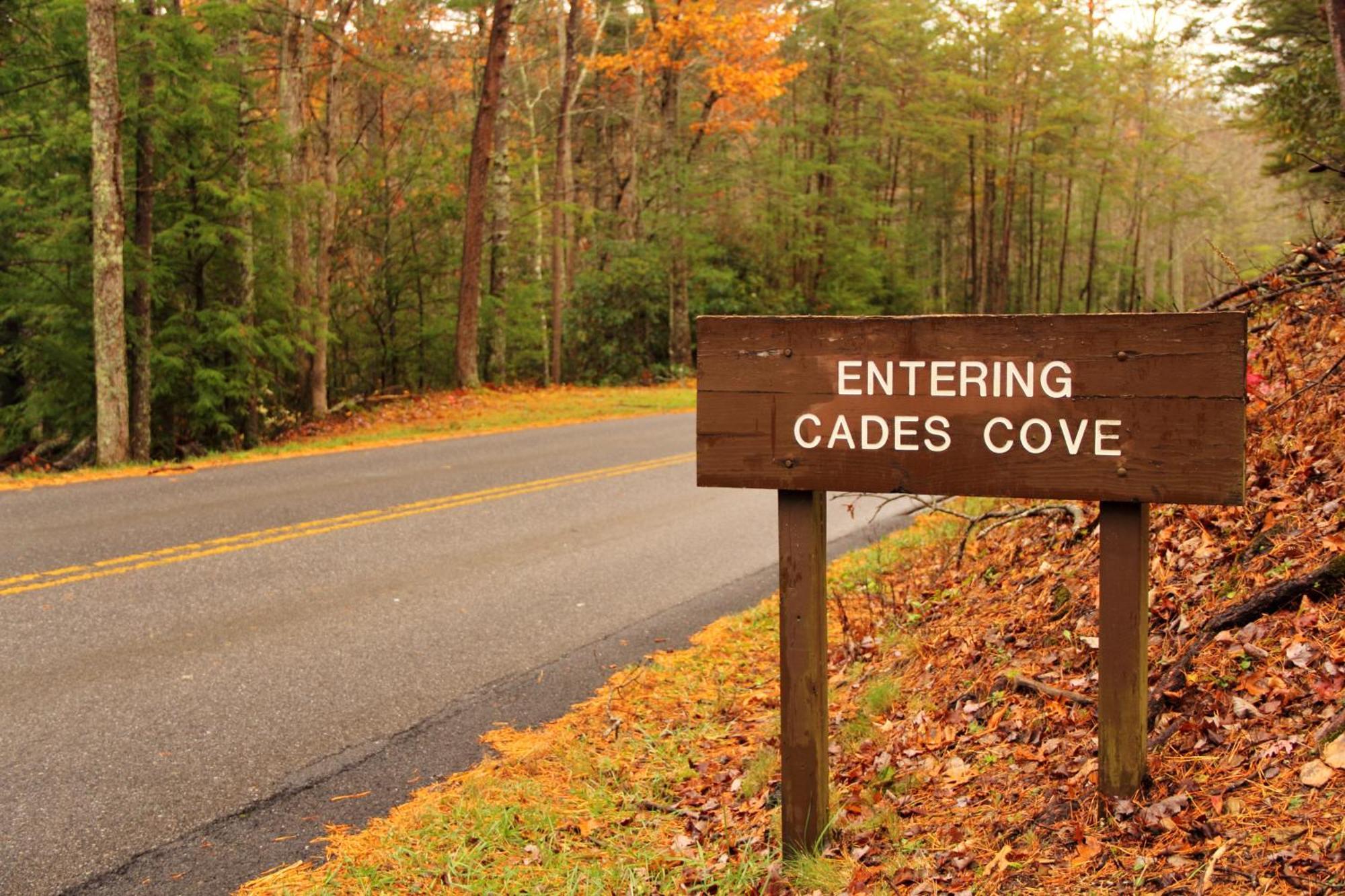 Moonshine Chalet, Hot Tub, Pool Access, Wifi, 1089 Free Tickets Each Paid Day, Dollywood And *