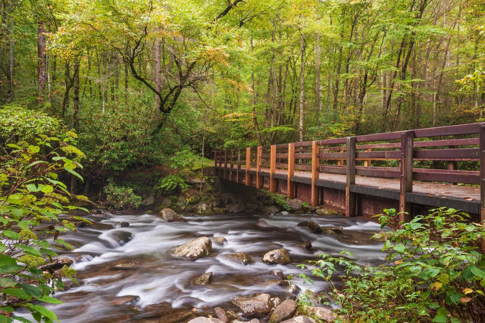 Moonshine Chalet, Hot Tub, Pool Access, Wifi, 1089 Free Tickets Each Paid Day, Dollywood And