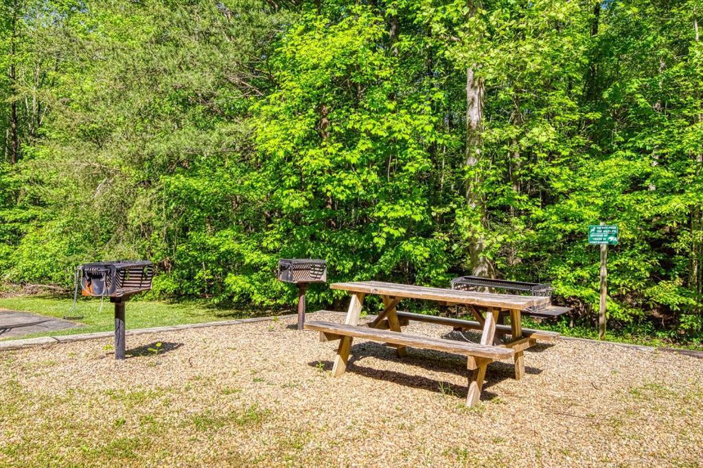 Mountain Escape, Pool, 1089 Free Tickets Each Paid Day, Dollywood And More, Mountain Views