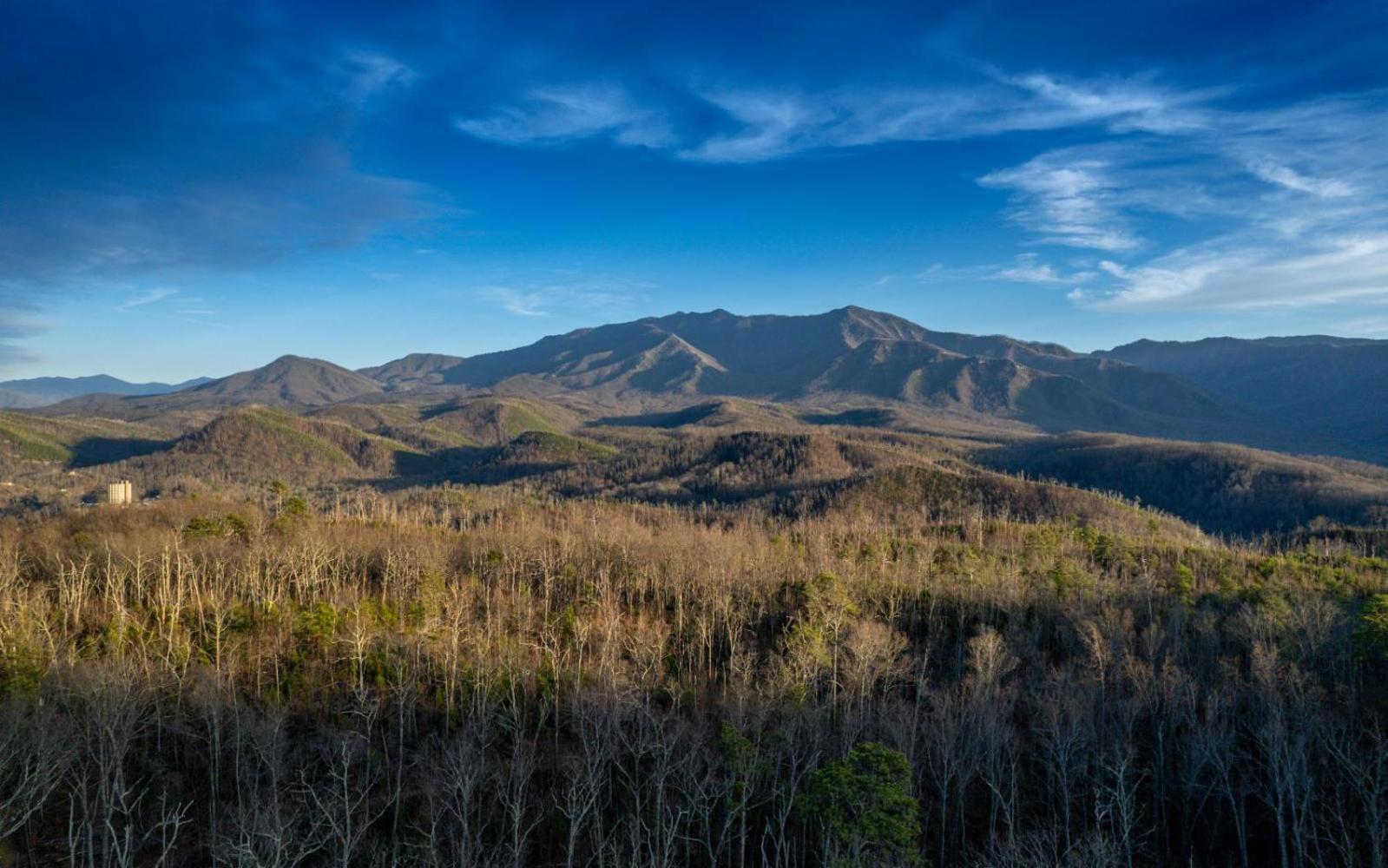 Oakmont 802 * Gatlinburg