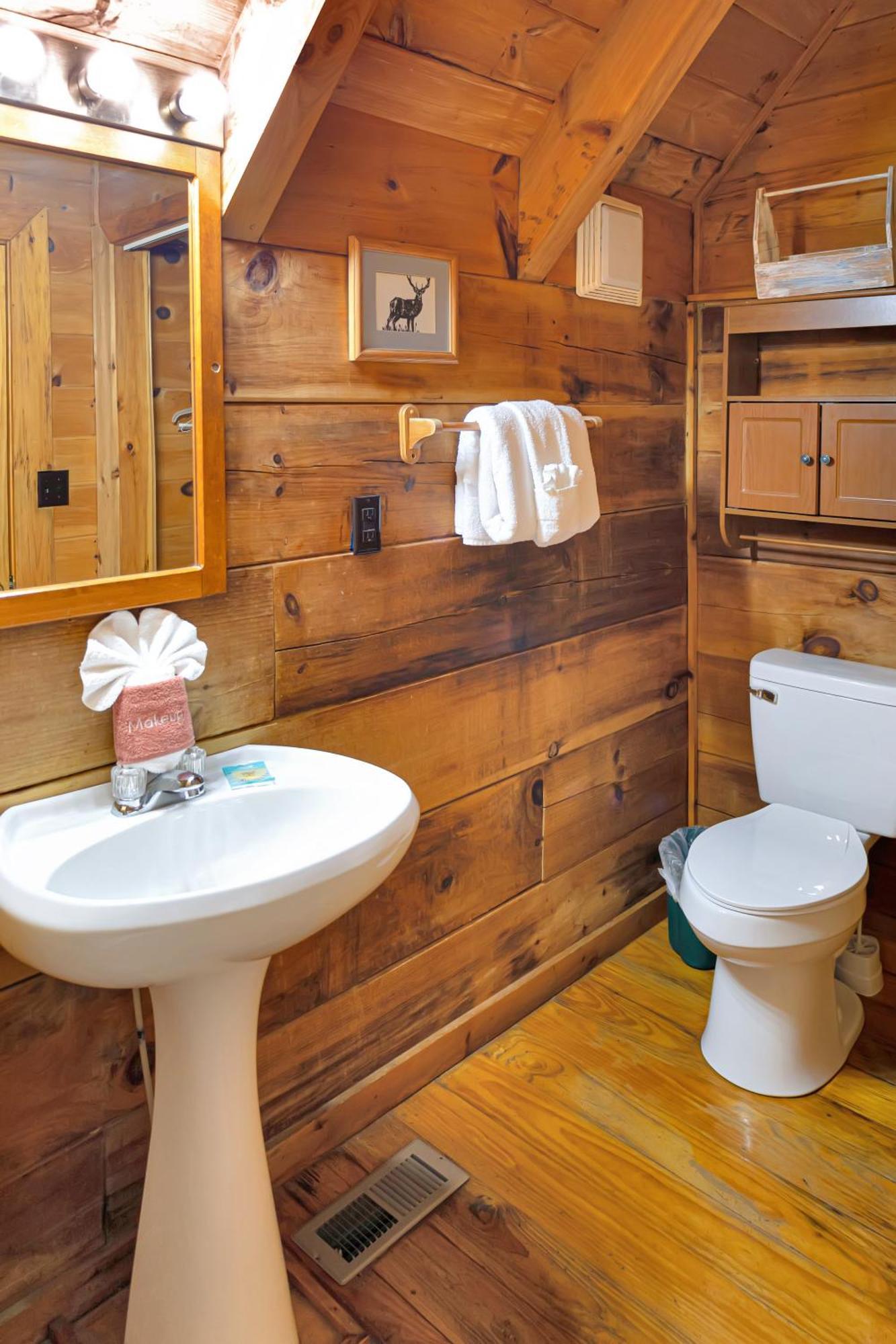 Cozy Cabin! Hot Tub, King Bed, Fireplace, & Pool Holiday home *