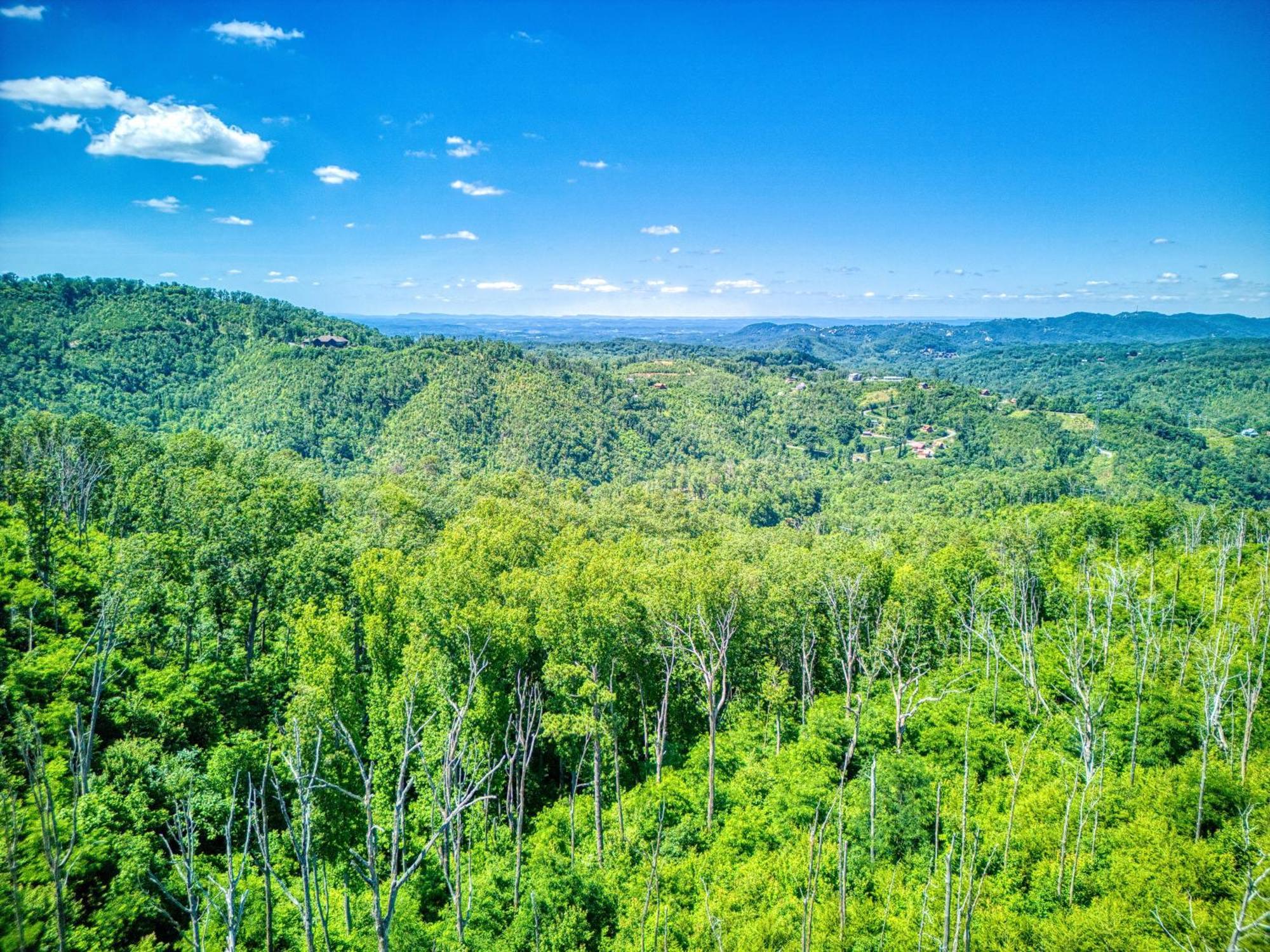 Key Lime Pie, Hot Tub,wifi, 1089 Free Tickets Each Paid Day, Dollywood And Chalet *