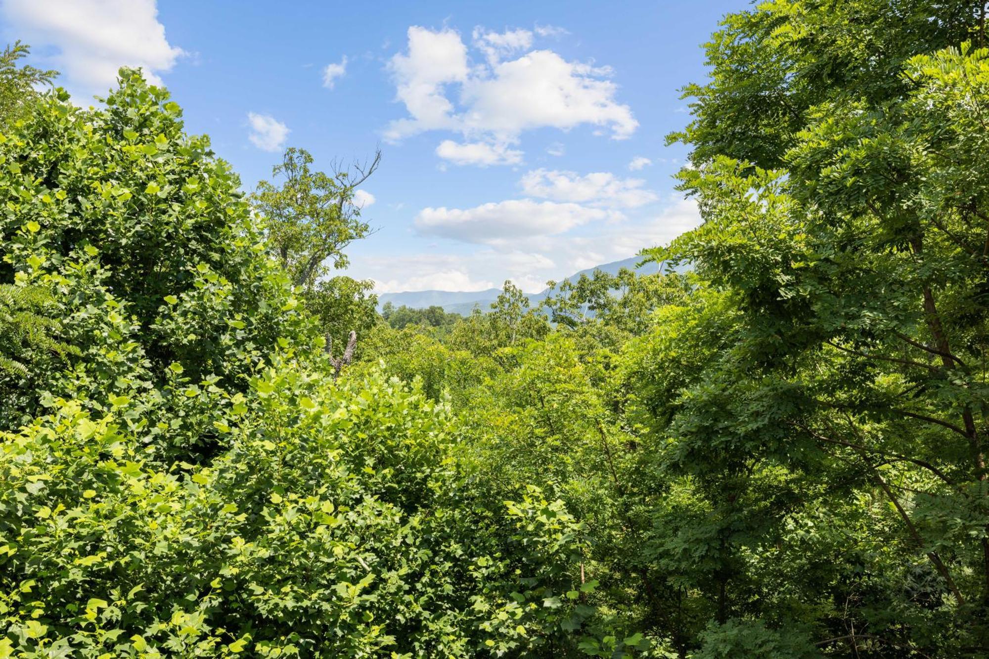 Pinnacle Pool View #625 Gatlinburg