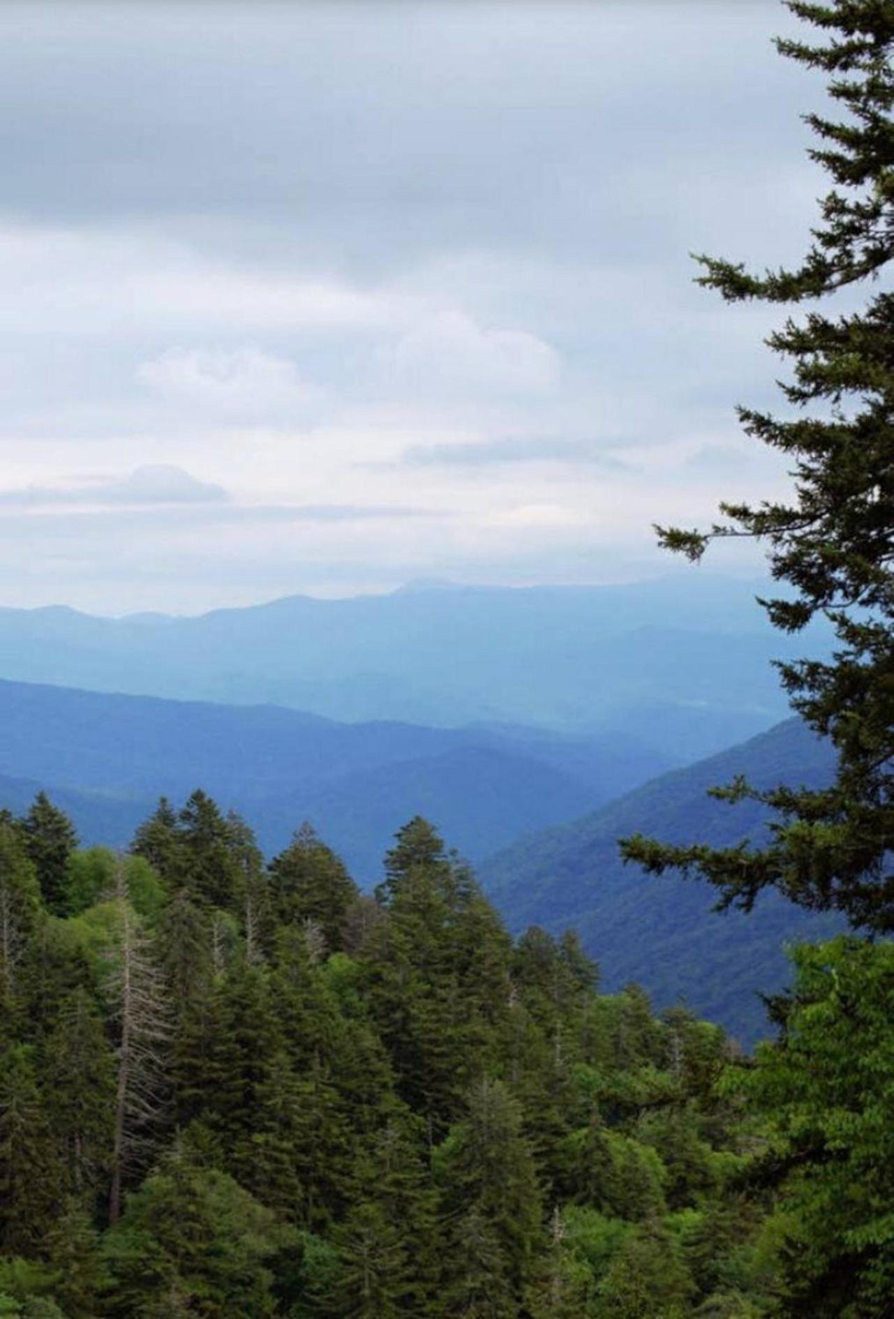Modern Style, 2 Bed Condo, Pool In Gatlinburg! *